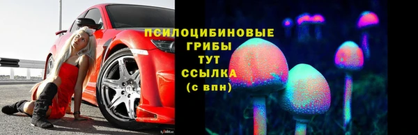 спайс Арсеньев