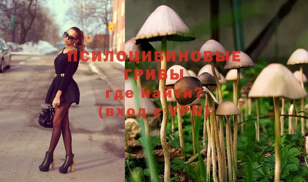метамфетамин Аркадак